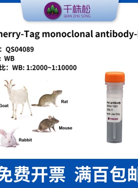 mcherry-Tag monoclonal antibody-HRP WB 实验 标签抗体