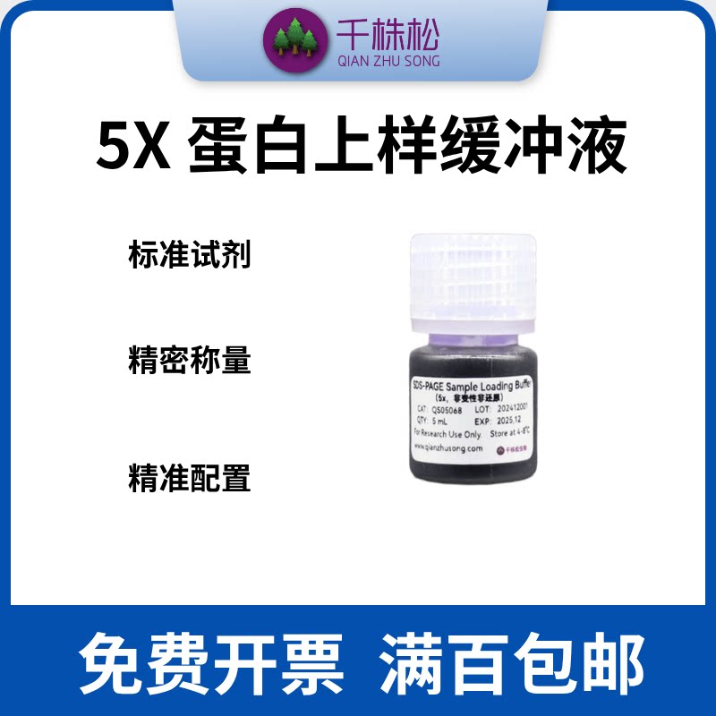 5X蛋白上样缓冲液非变性非还原型Loading Buffer（无DTT和SDS）图片