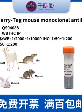 mcherry-Tag mouse monoclonal antibody WB IHC IP实验 标签抗体
