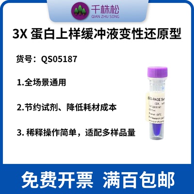 3X 蛋白上样缓冲液变性还原型Loading Buffer（DTT和SDS）