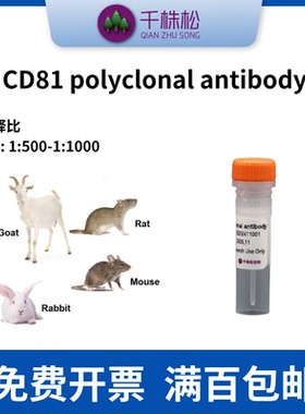 CD81 polyclonal antibody细胞凋亡相关抗