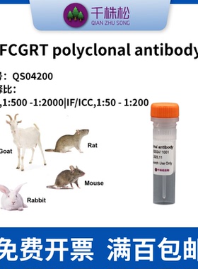 FCGRT polyclonal antibody 多抗一抗，WB，IF，ICC实验