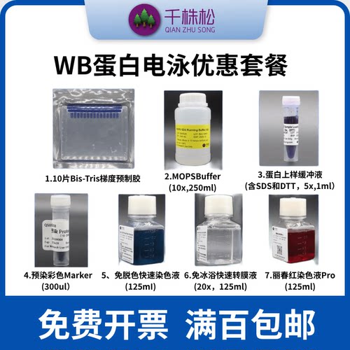 WB电泳试剂kit千株松免费开票