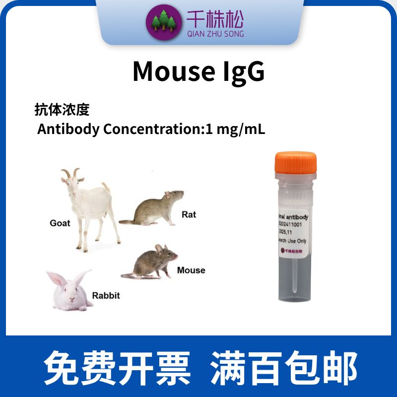 Mouse IgG,whole molecule抗体  WB抗体试剂一抗二抗