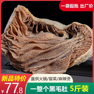 毛肚整个新鲜牛百叶黑千层毛肚整个大叶片牛杂火锅专用食材商用