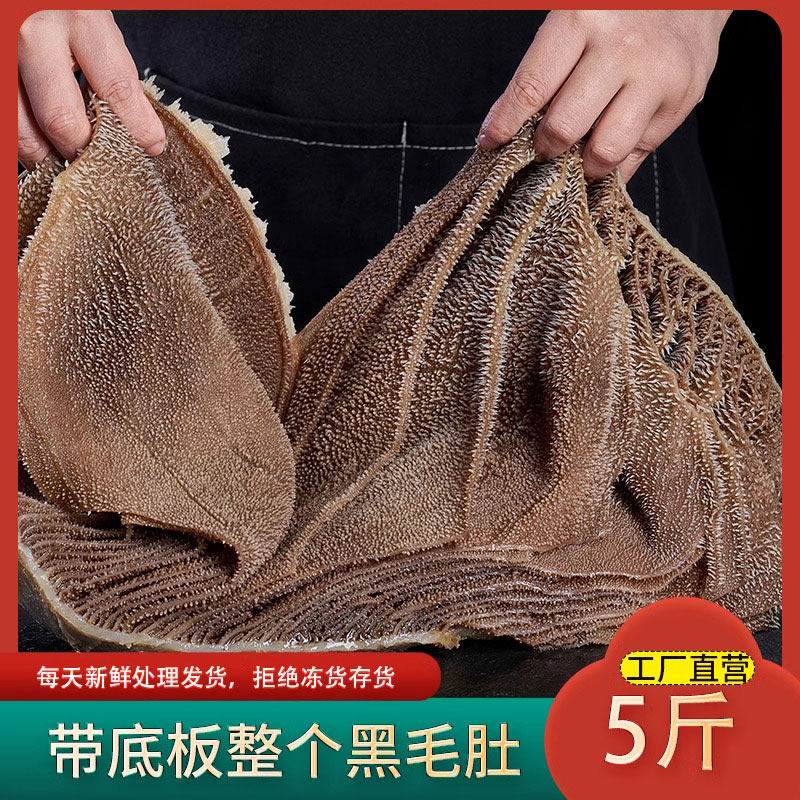 一整个毛肚新鲜牛百叶黑千层毛肚整个大叶片牛杂火锅专用食材商用,水产肉类/新鲜蔬果/熟食,牛杂/牛杂制品,淘宝优惠券,粉丝福利购,淘宝优惠卷