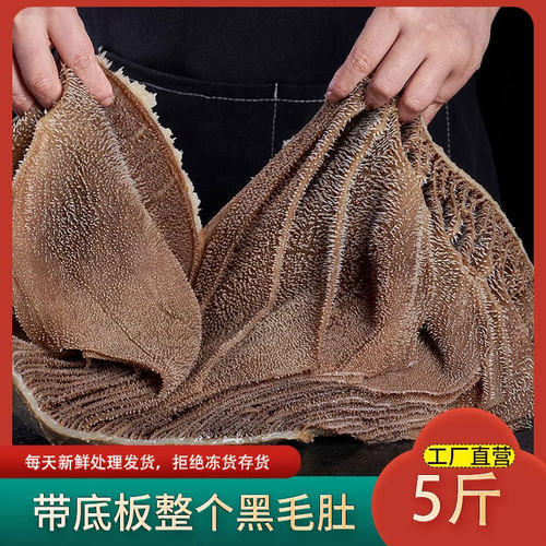 整个毛肚火锅食材牛百叶5斤