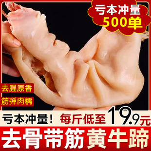 去骨牛蹄新鲜整只半熟脱骨牛蹄筋熟牛蹄脚原味主筋火锅食材卤菜