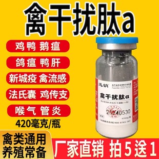 禽干扰素禽新城疫传支传喉鸡鸭鹅鸽瘟鸭肝炎病毒性肿瘤禽用抗病毒