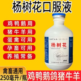 兽用杨树花口服液猪牛羊鸡鸭鹅禽用黄白粪便稀薄粪便孕