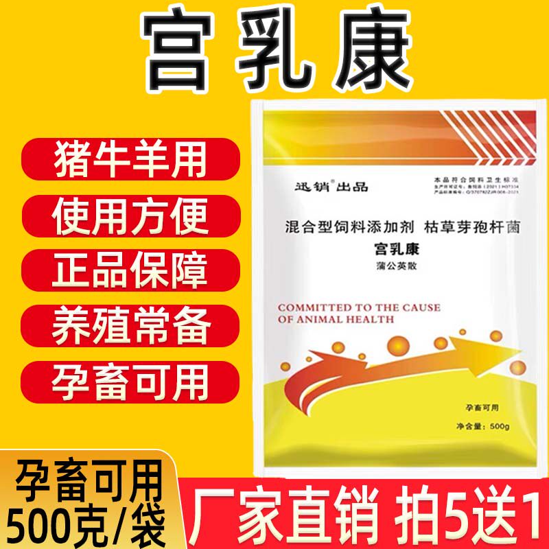 兽用宫乳康蒲公英散母猪母牛母羊产后恢复调理产后通乳饲料添加剂