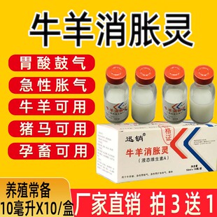 兽用消气灵牛羊消胀灵急性胃鼓气胀气胃扩张食欲不振反刍四胃动力