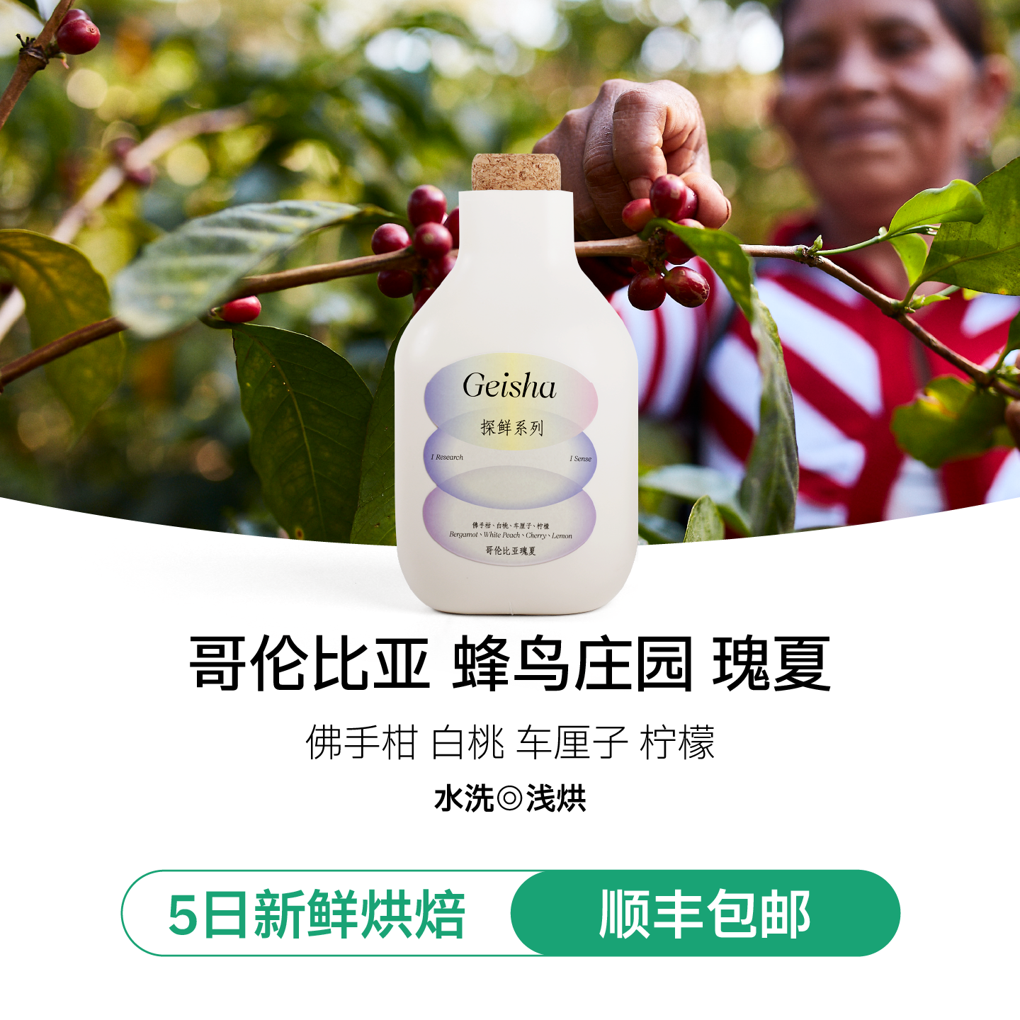 IRIS瑰夏果香咖啡豆浅烘