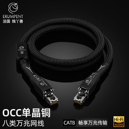 Erumpent八类万兆网线，万兆网速