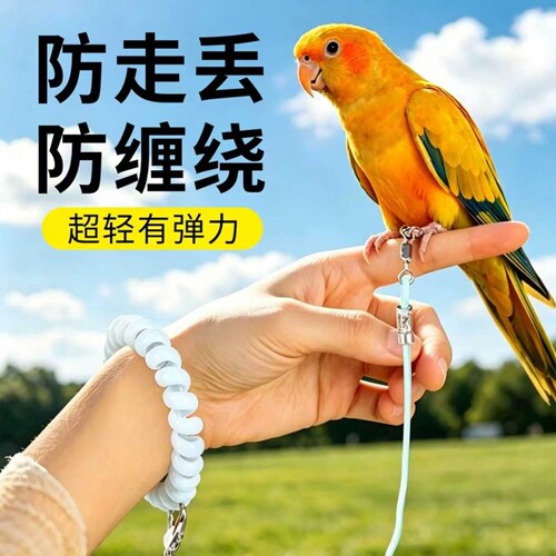 鹦鹉放飞绳超轻无感虎皮玄凤牡丹专用外出飞行牵引绳训练遛鸟神器