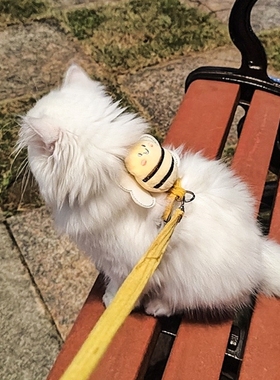 猫咪牵引绳防挣脱外出专用猫绳小奶猫溜猫神器宠物防丢胸背带链子