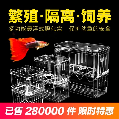鱼缸隔离盒孔雀鱼专用孵化盒热带鱼小鱼幼鱼孵化盒特大号大号小号