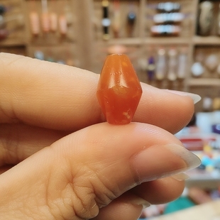 巴克特里亚10.8x16.2m