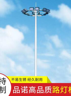 厂家供应PN-001路灯杆6米单叉双叉灯杆LED户外照明路灯杆高灯杆