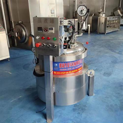 门店用燃气高汤高压蒸煮锅电加热高温高压蒸煮锅牛板筋牛腩高压锅