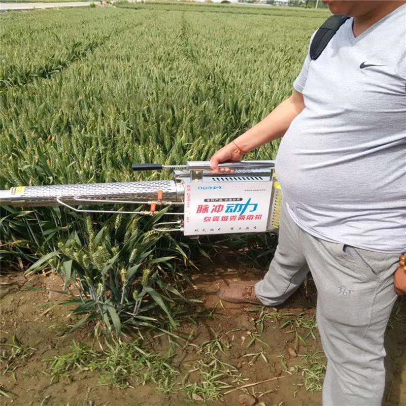 养殖场消毒弥雾机烟雾机 汽油背负式弥雾机 生产电动烟雾机