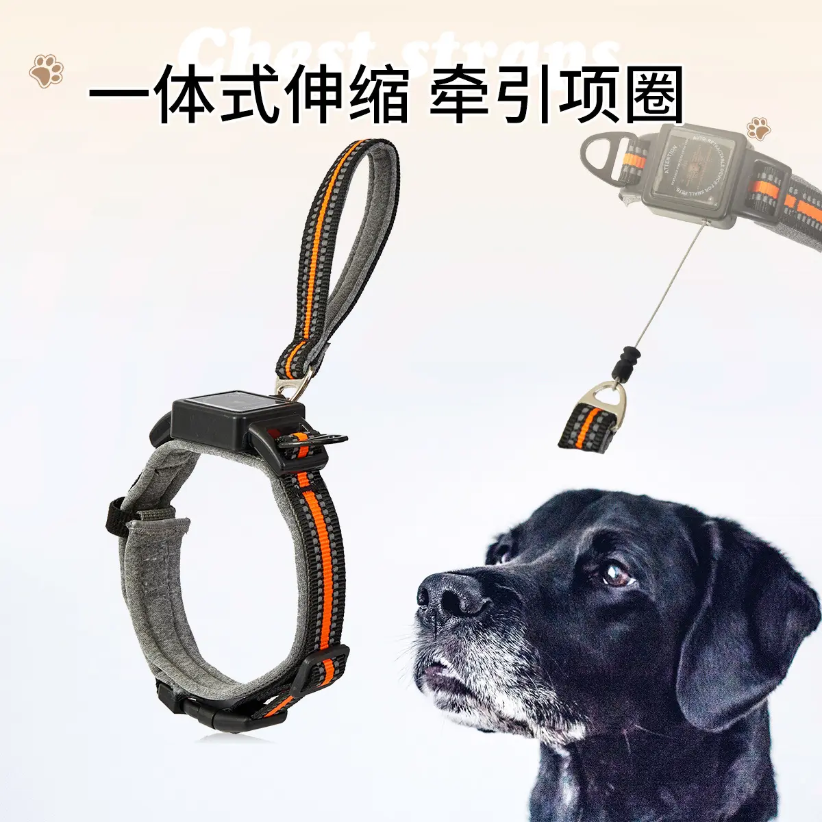 一体式狗狗项圈自带伸缩式牵引绳
