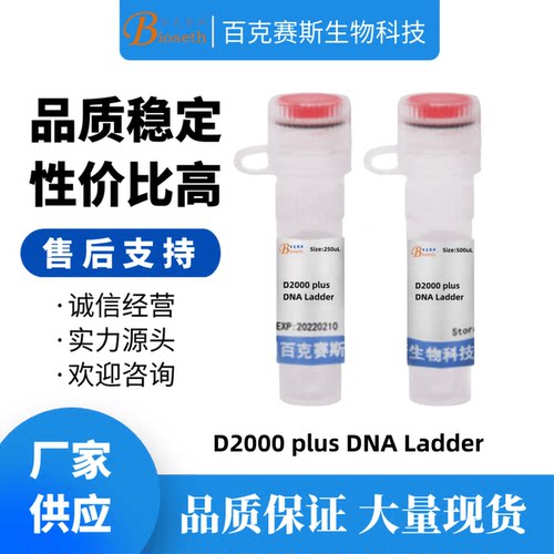 D2000 plus（DL5000） DNA Ladder 分子生物学试剂实验科研用试剂