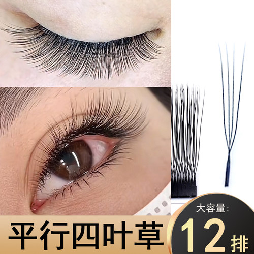 新款平行四叶草嫁接睫毛