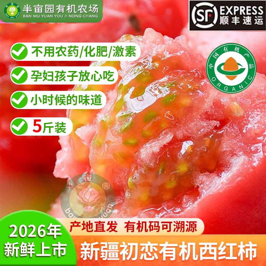 半亩园初恋有机西红柿新疆普罗旺斯番茄自然成熟现摘生吃沙瓤孕妇