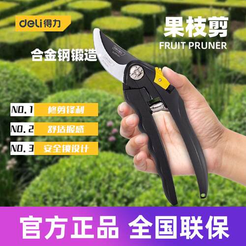 得力工具 果枝剪花木剪子整篱剪园林不锈钢省力修枝剪刀 DL580201
