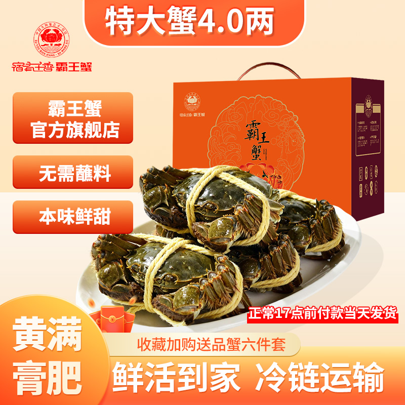特大鲜活大闸蟹公母螃蟹官方旗舰