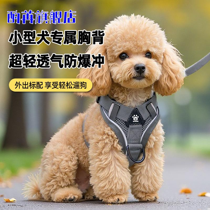 猫咪牵引绳防挣脱可调式背心式宠物透气胸背带缅因猫绳子家用栓