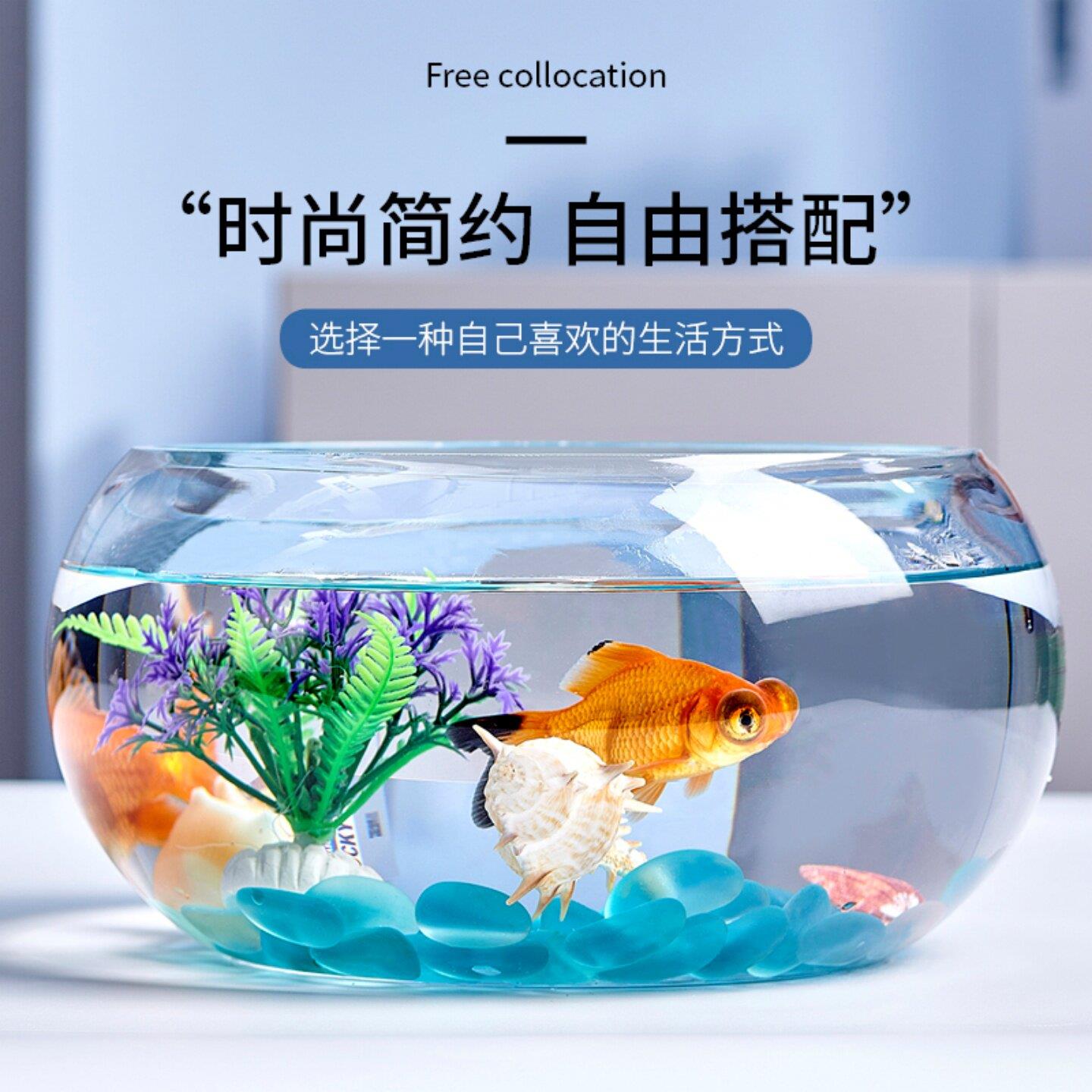 创意水族箱生态圆形玻璃金鱼缸 大号乌龟缸 迷你小型造景水培花瓶