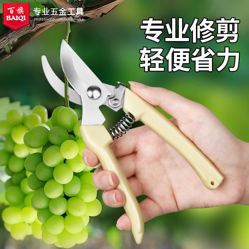 日本精工剪树枝专用剪刀修枝剪园艺剪刀园林果树修花家用sk5剪子