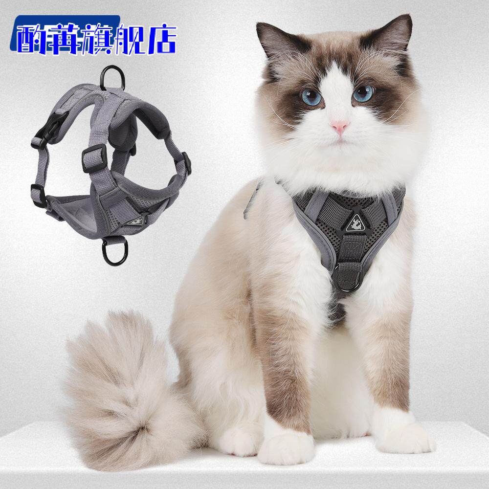 猫咪牵引绳防挣脱可调式背心式宠物透气胸背带缅因猫绳子家用栓