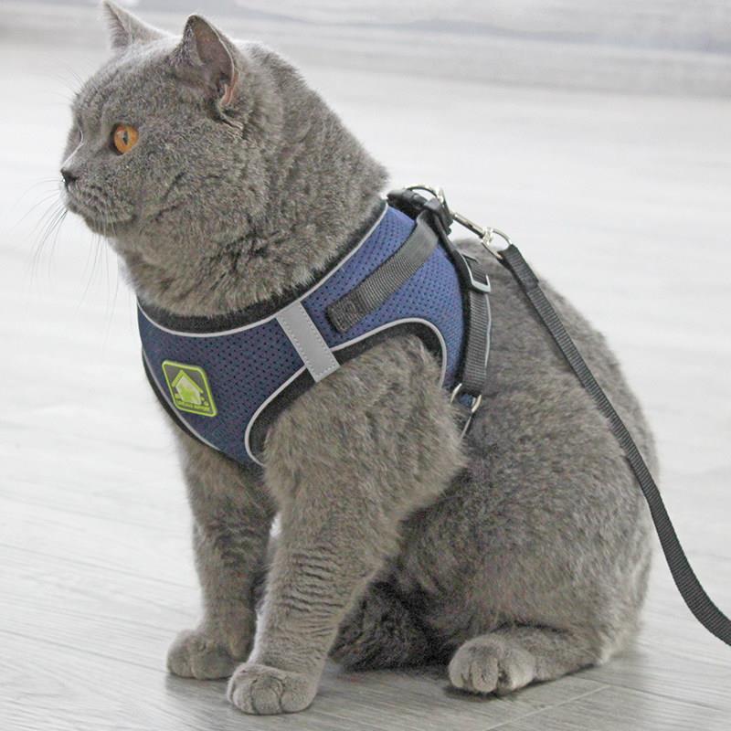 透气遛猫绳子猫咪牵引绳防挣脱背心式胸背带宠物幼小猫专用可调节