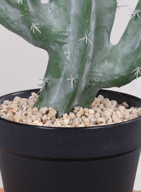 北欧风仿真仙人掌龙神柱仙人掌盆栽室内家居装饰摆件仿生植物造景