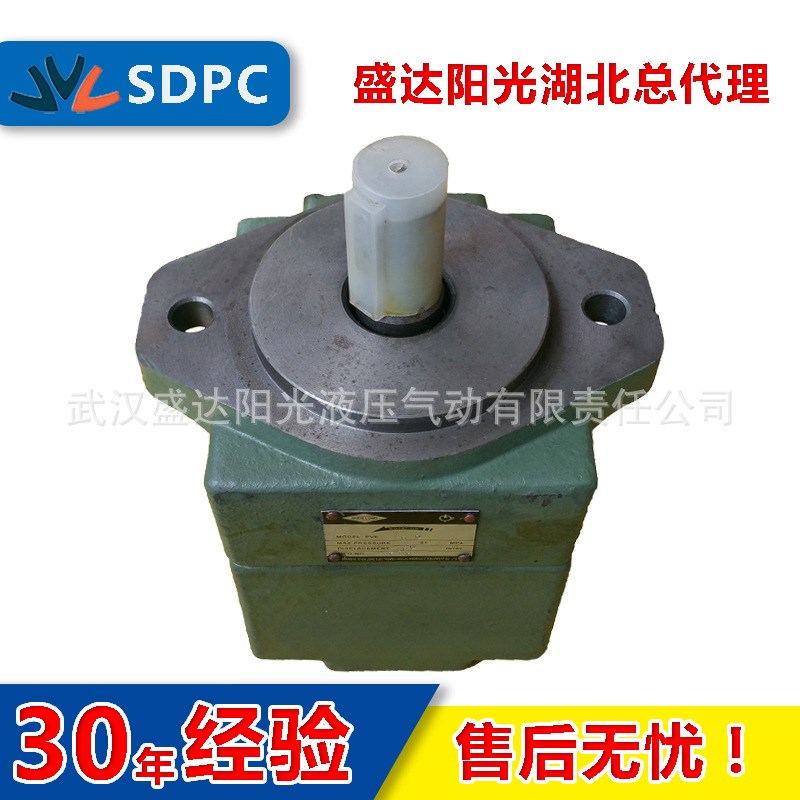 等 定量 叶片泵 PV2R1-31 PV2R1-33 油泵 低噪音 高效率