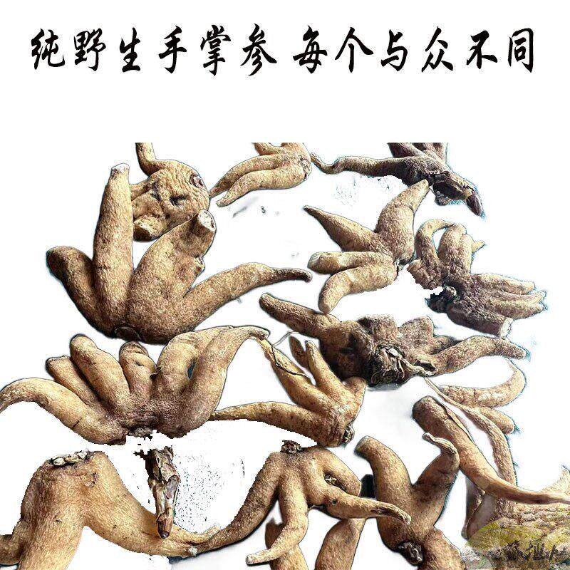 直发5西0克包邮 卖西藏野生手掌参 佛手参藏 不透明货 ODC纯晒货