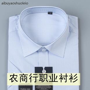 农村商业银行衬衣男女同款长短袖蓝色条纹衬衫农商信用社工作服装