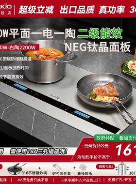 硕高二级能效钛晶NEG面板银白嵌