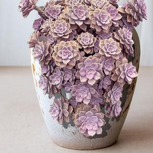 特大号切口多肉花盆粗陶瘦高紫乐悬崖老桩紫砂缺口透气大法师陶瓷