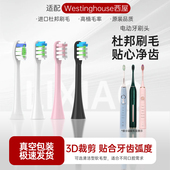 504Y 301b 301G 608 适配美国西屋电动牙刷头 501w 505