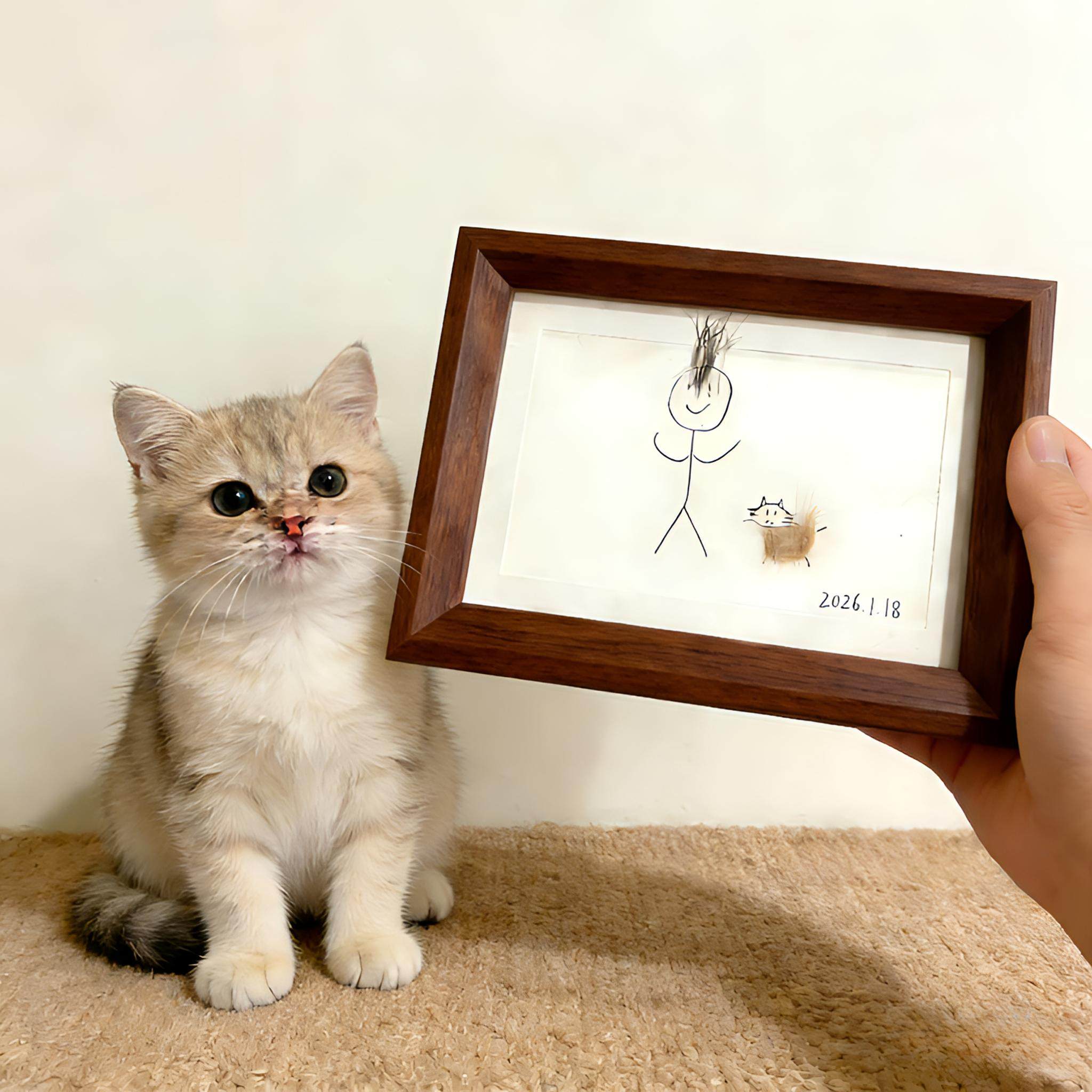 创意DIY手工猫咪狗狗毛发收藏纪念相框木质摆件宠物纪念相框装饰,家居饰品,相框/画框,淘宝优惠券,粉丝福利购,淘宝优惠卷