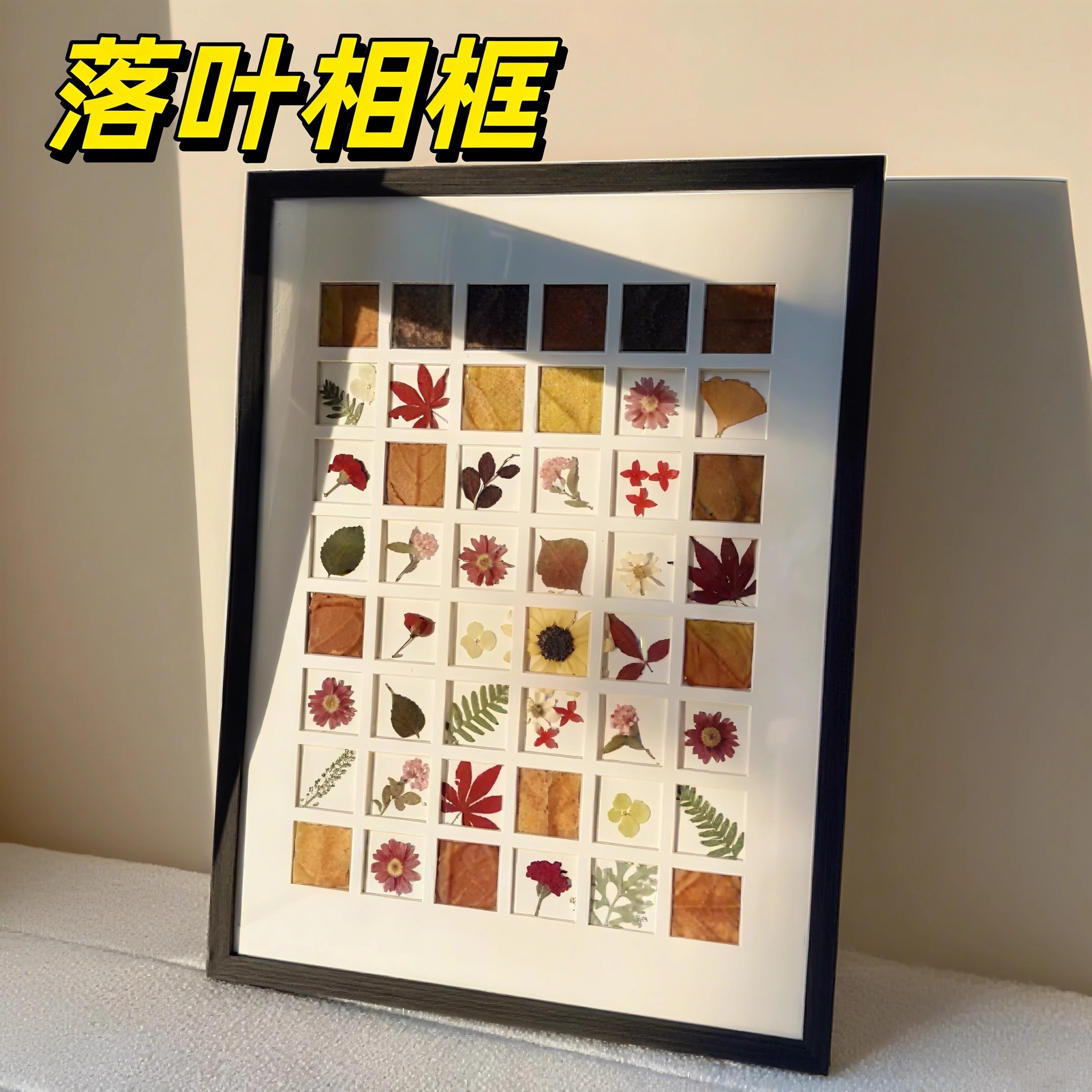 落叶相框自制手工48宫格植物