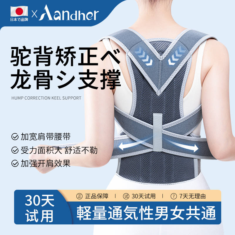 【日本正品】龙骨支撑驼背校正器