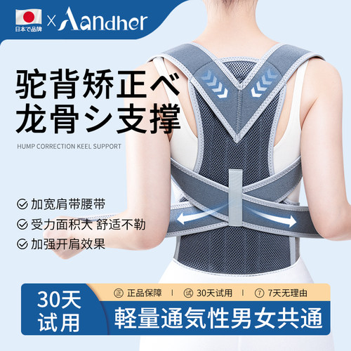 【日本正品】龙骨支撑驼背校正器