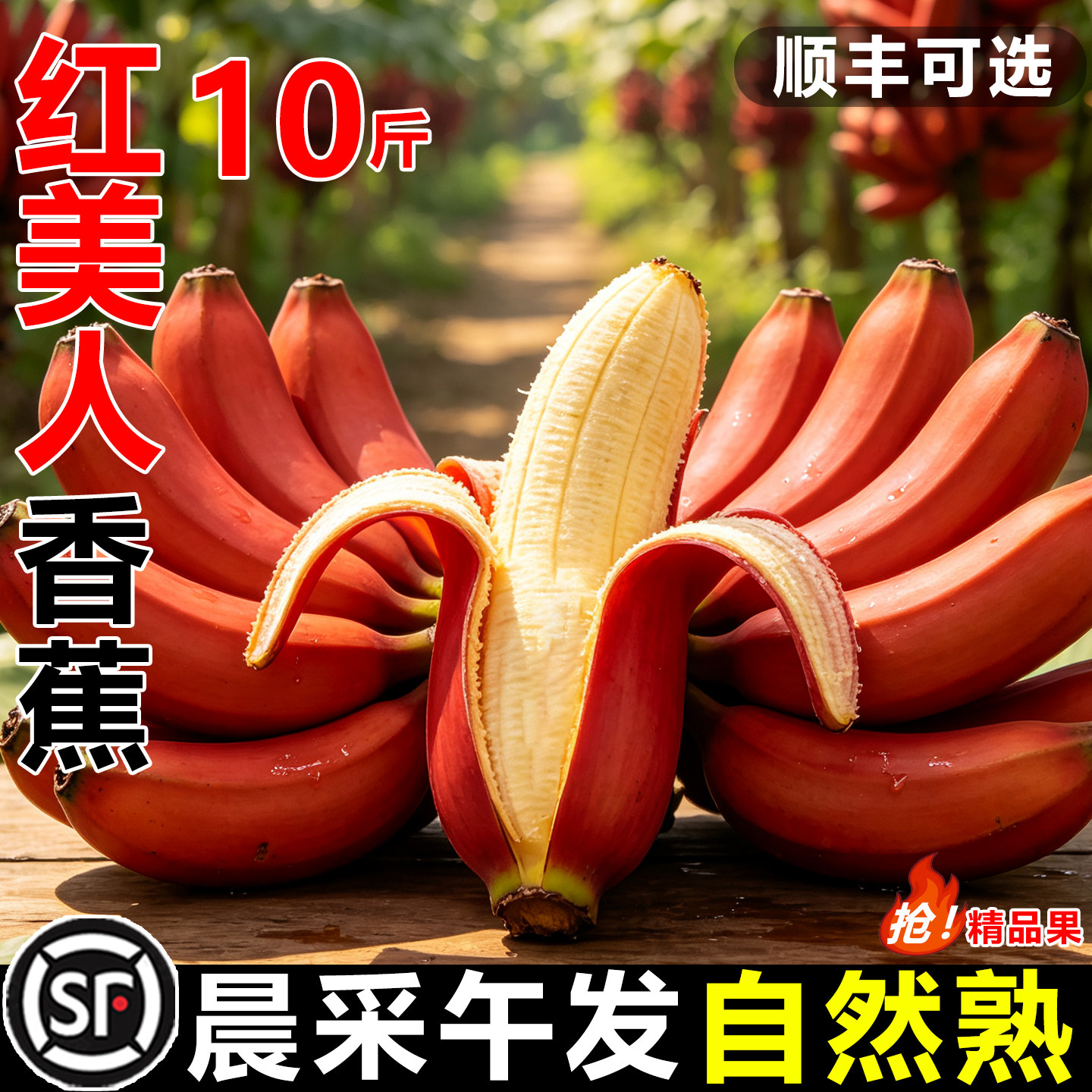 【顺丰次日达】10斤纯甜红美人蕉