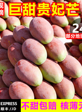 【顺丰/JD次日达】甜贵妃芒10斤