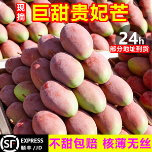 【顺丰/JD次日达】甜贵妃芒10斤